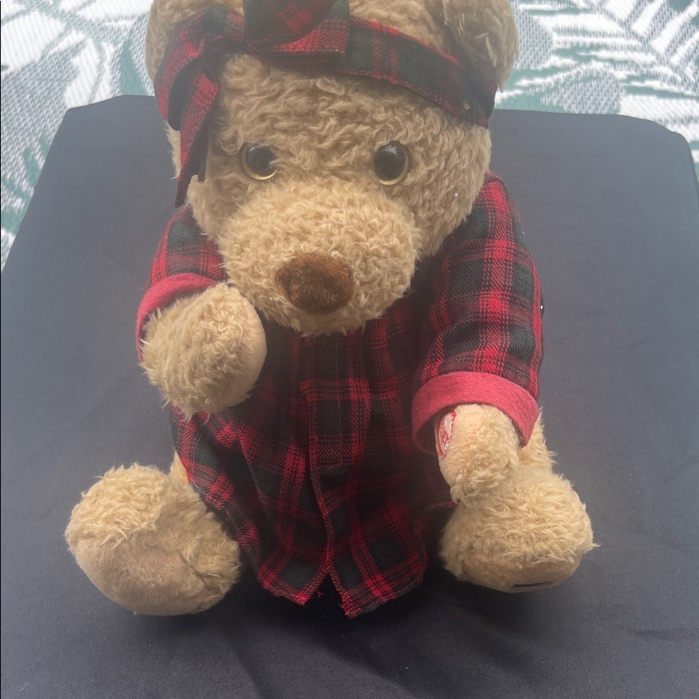 Plaid Red and Black Teddy Bear